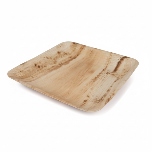 25cm-Palm-Leaves-Square-Plate