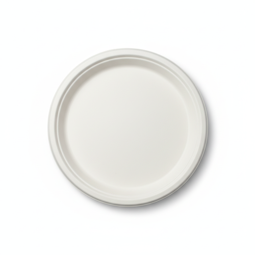 25cm-Sugarcane-Round-Plate