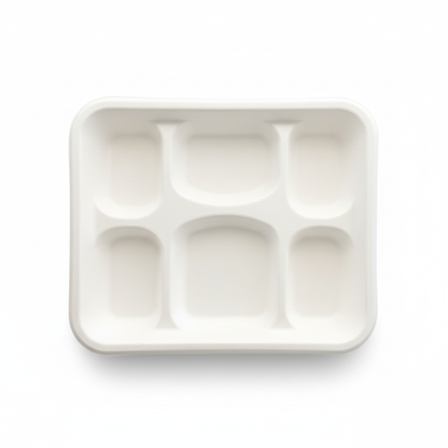 28cm-x-22cm-6-compartment-Sugarcane-Rectangular-Tray