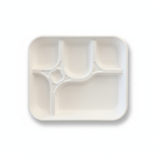 30cm-x-24cm-5-compartment-Sugarcane-Rectangular-Tray